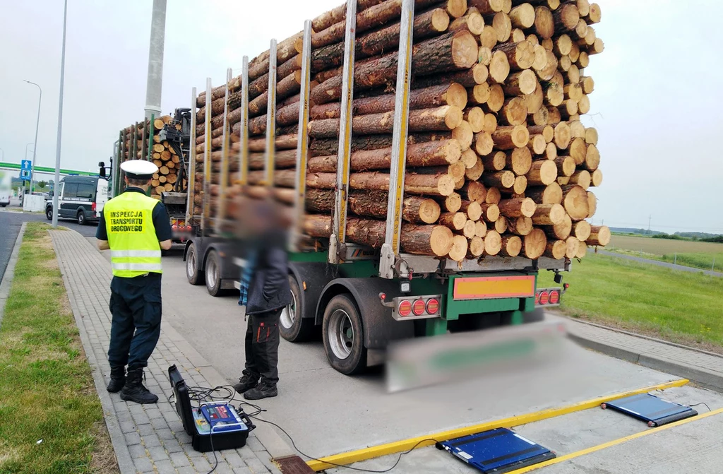 Zespół pojazdów przewoził ponad 24 tony drzewa za dużo