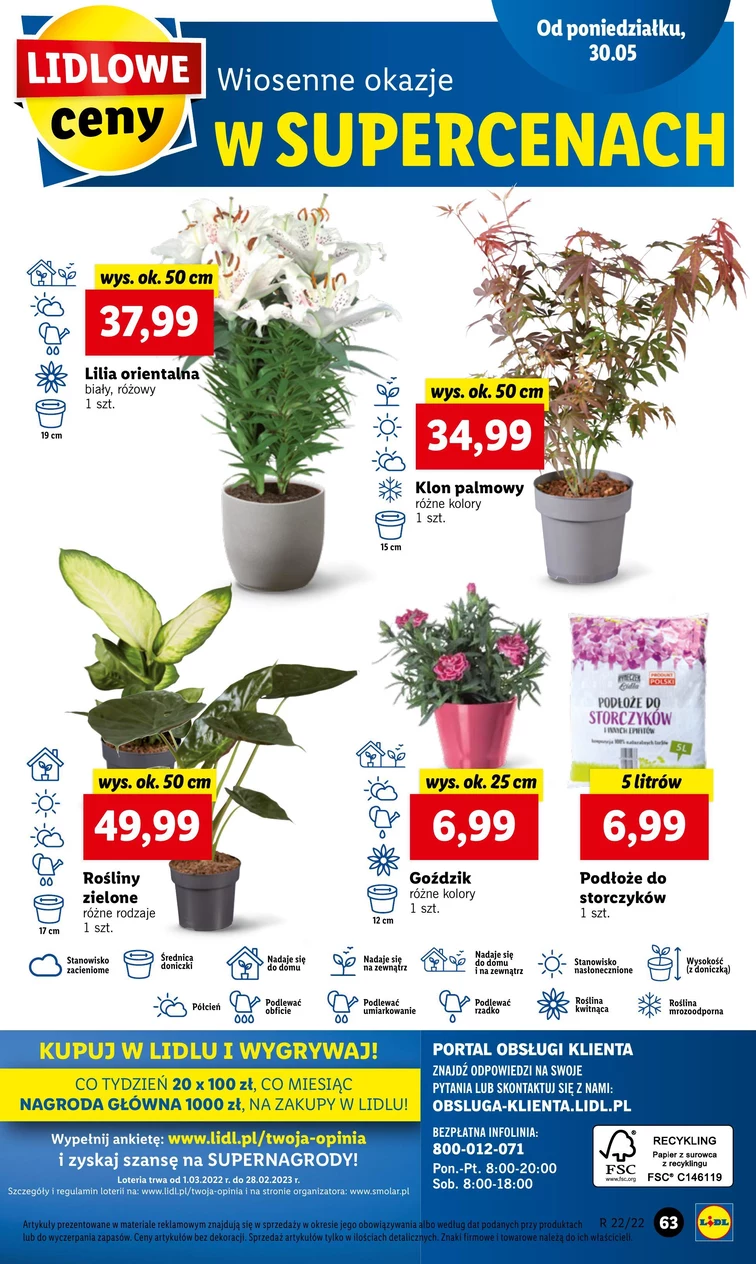 leaflet page preview image