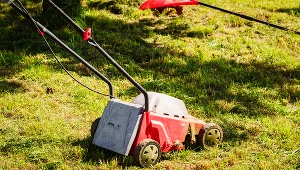 Po koszeniu trawnik zżółkł? Znamy przyczynę i rozwiązanie