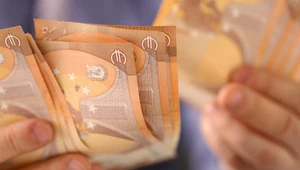 Euro nie uchroniłoby nas przed wysoką inflacją? Zdj. ilustracyjne
