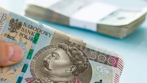 Wiadomo, ile wpłynęło do budżetu państwa z podatku Belki od stycznia do listopada 2023 roku