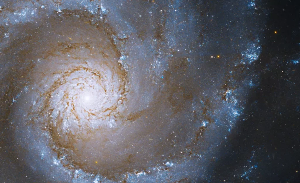 Zdjęcie z Kosmicznego Teleskopu Hubble`a przedstawia spiralną galaktykę oznaczoną skrótem NGC 3631