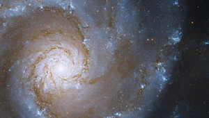 Zachwycająca "gwiezdna spirala" odkryta przez teleskop Hubble