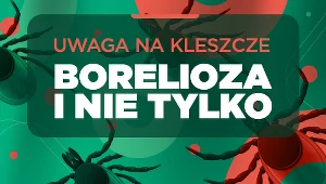 Uwaga na kleszcze. Borelioza i nie tylko