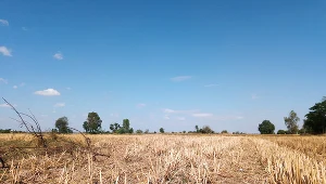 Panująca w Polce susza jest zjawiskiem wielowarstwowym. Aby jej zaradzić nie wystarczą opady deszczu