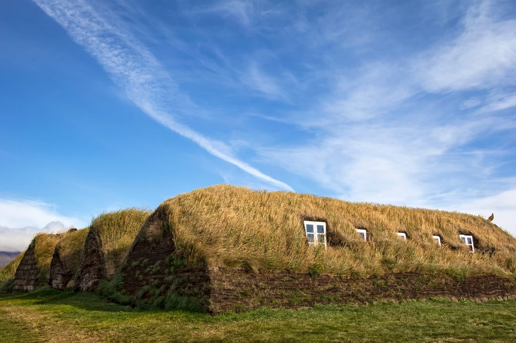 Widok na tradycyjną islandzką wioskę