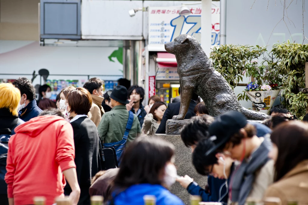 Historia psa Hachiko jest tak poruszająca, że w Tokio powstał pomnik tego wiernego przyjaciela człowieka