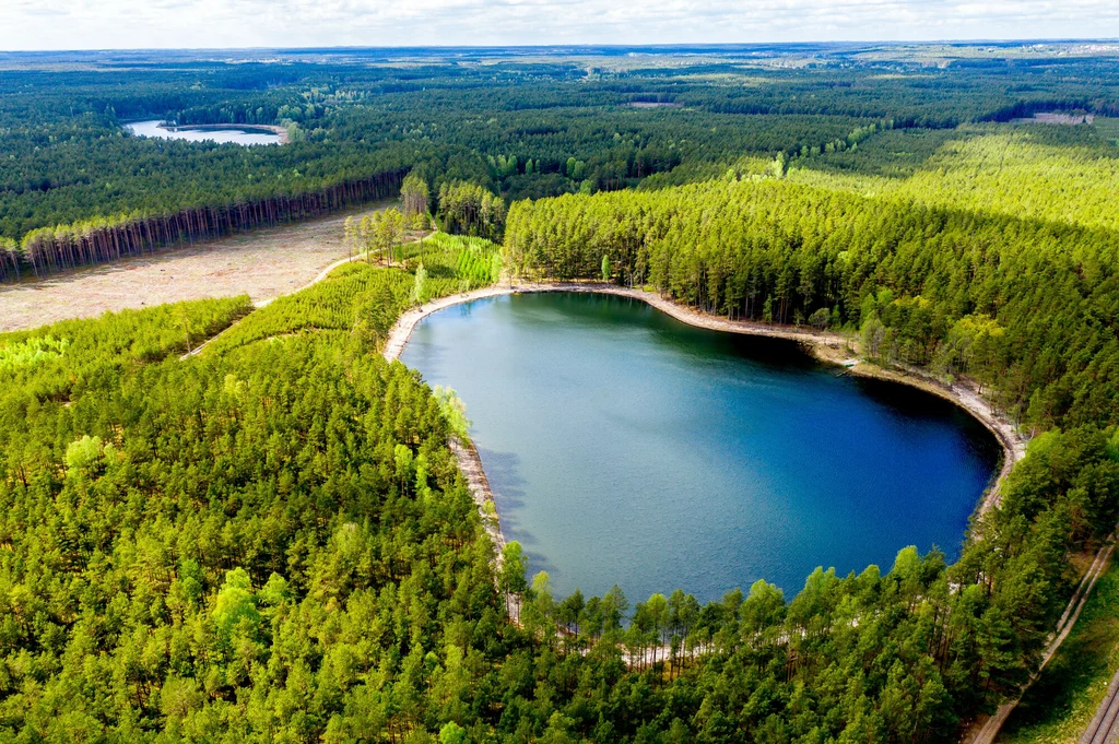 Zielona Interia notuje rekordowe wyniki / zdjęcie ilustracyjne (Kaszubski Park Krajobrazowy) Zielona Interia notuje rekordowe wyniki / zdjęcie ilustracyjne (Kaszubski Park Krajobrazowy)