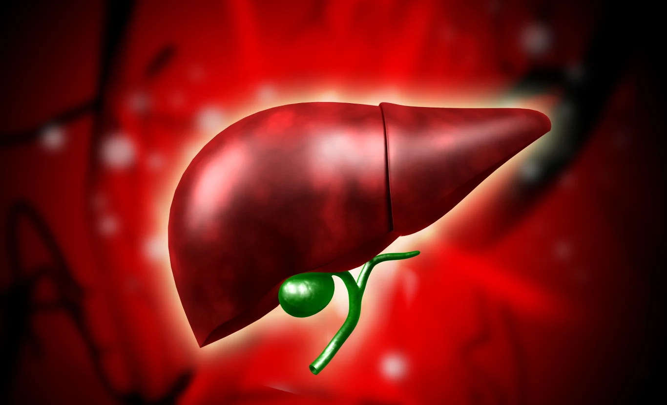 Stan wątroby trzeba regularnie kontrolować. Próby wątrobowe powinniśmy wykonywać raz do roku