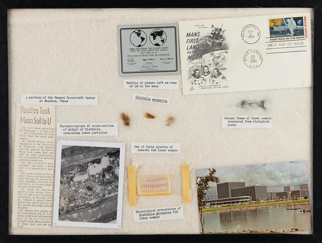 Oprócz karaluchów w gablocie jest artykuł z 1970 roku o eksperymencie NASA / foto: rrauction.com Oprócz karaluchów w gablocie jest artykuł z 1970 roku o eksperymencie NASA / foto: rrauction.com