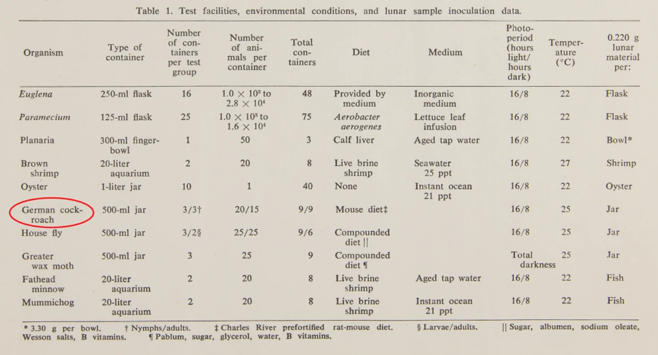 Naukowcy NASA sprawdzali, jak zwierzęta znoszą jedzenie pyłu księżycowego. Okazało się, że karaluchy przetrwały eksperyment znakomicie Naukowcy NASA sprawdzali, jak zwierzęta znoszą jedzenie pyłu księżycowego. Okazało się, że karaluchy przetrwały eksperyment znakomicie