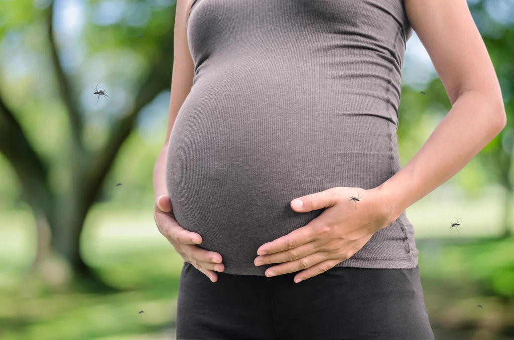 Kobiety w ciąży są bardziej narażone na ugryzienie komara