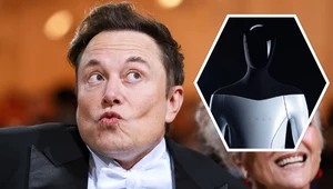 Elon Musk: Tesla Bot nadchodzi! Na Tesla AI Day zobaczymy działający prototyp