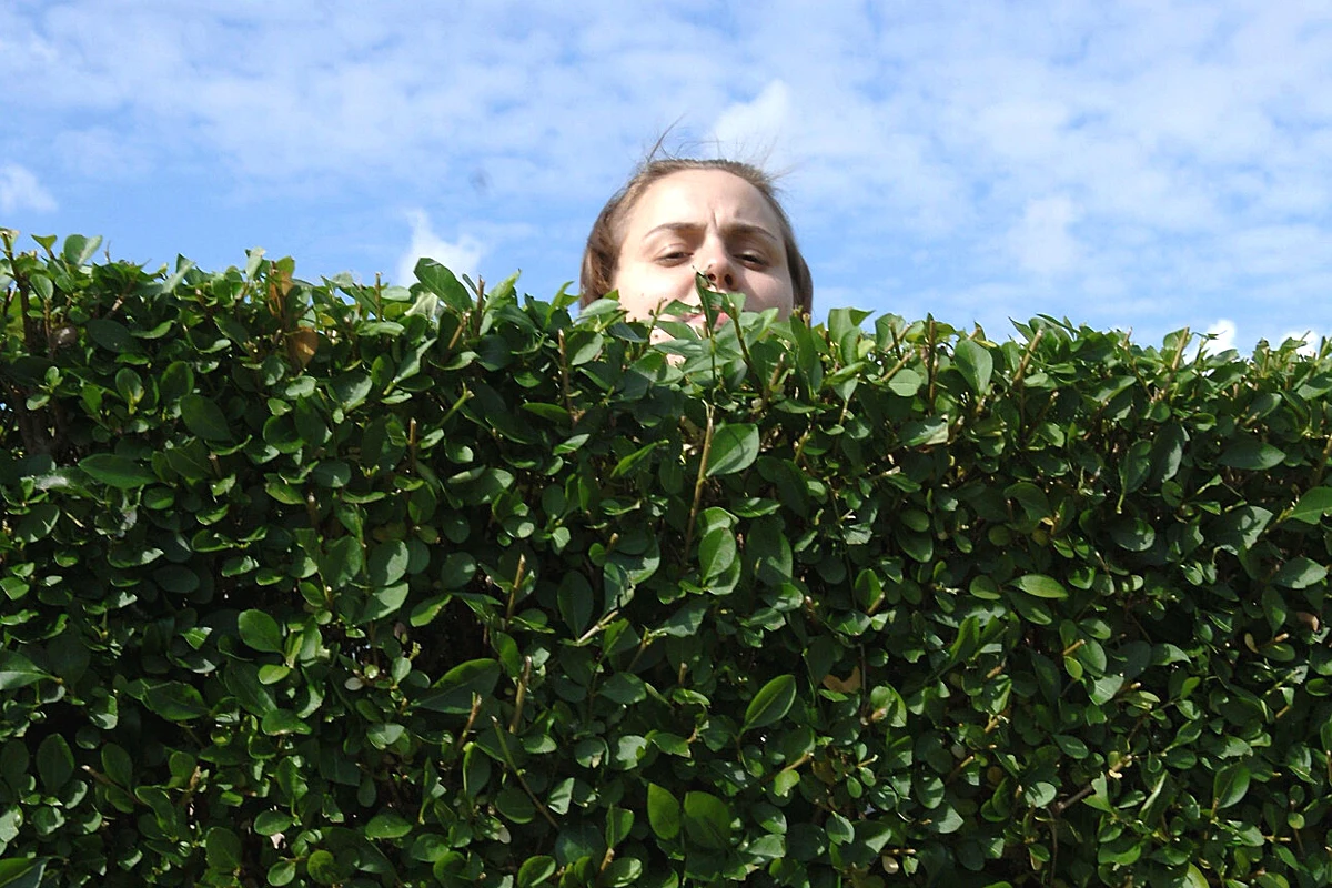 Trudno powściągać ciekawość, gdy u sąsiada dzieją się różne, nierzadko podejrzane rzeczy...