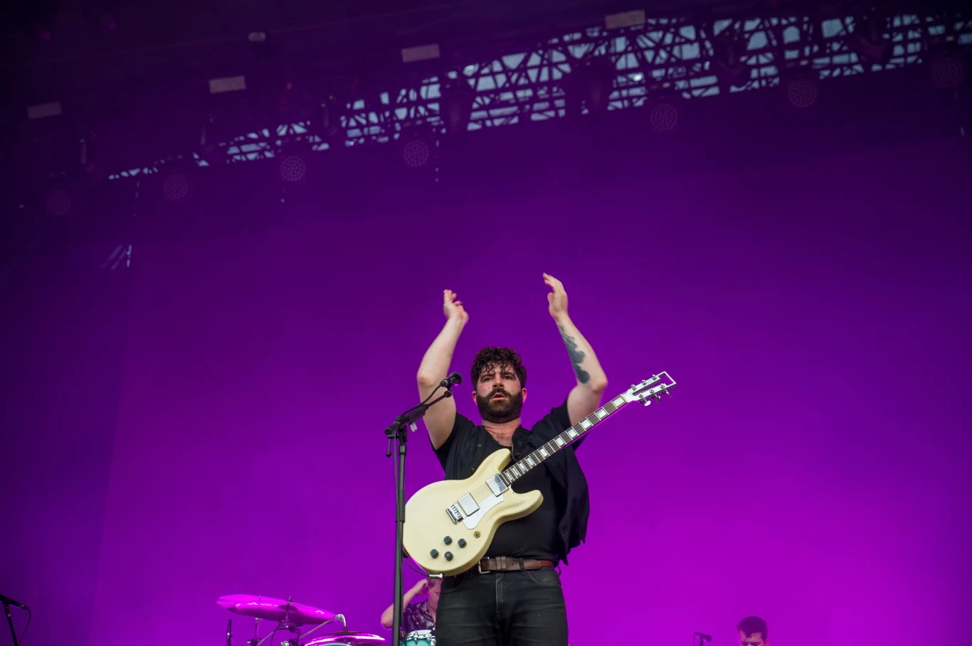 Foals Foals