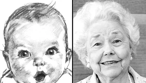 Ann Turner Cook/ Instagram Gerber