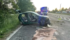 BMW najechało na tył Fiata / Fot: Straż Pożarna