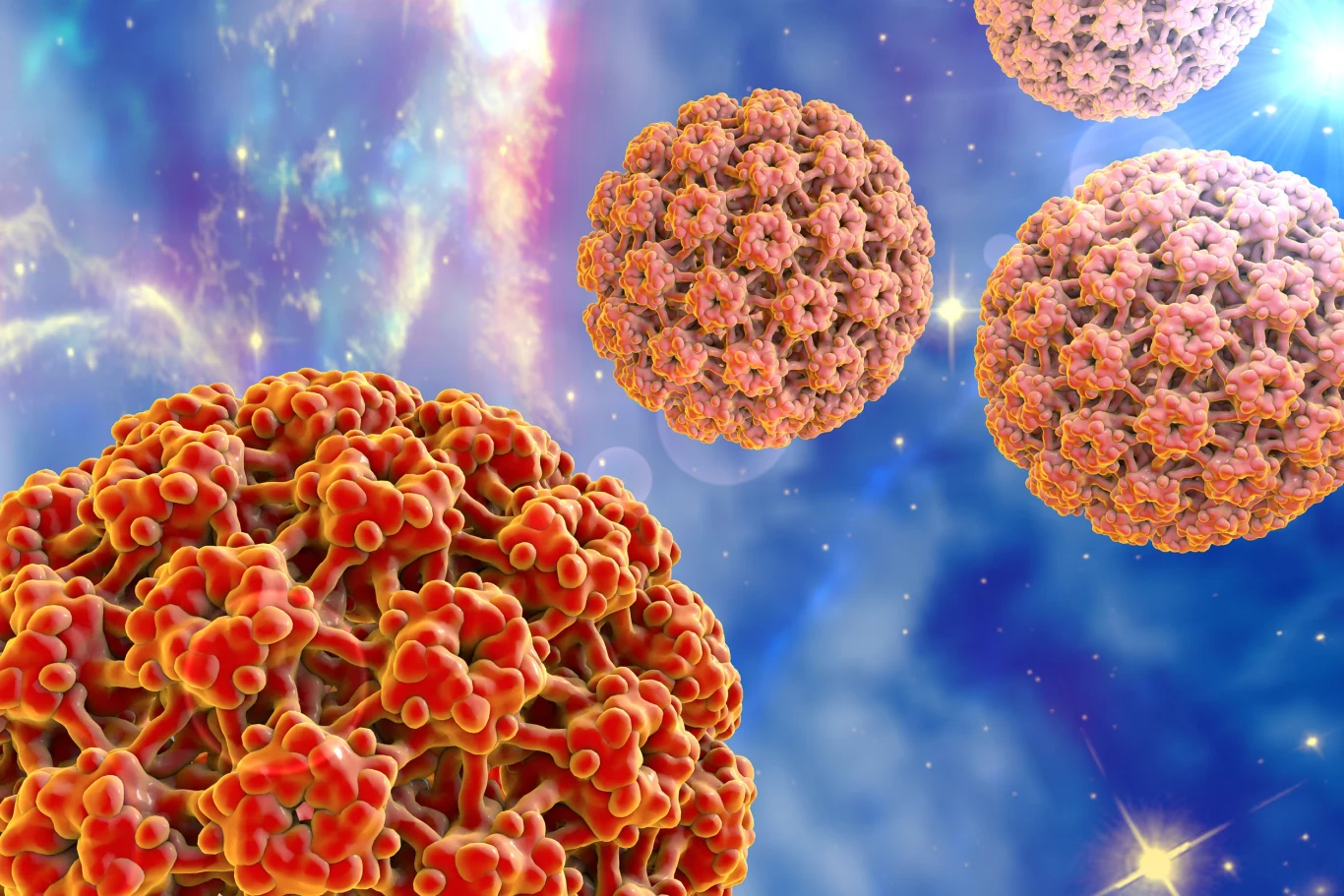 Wirus HPV jest przyczyną raka szyjki macicy u kobiet oraz raka krtani u mężczyzn