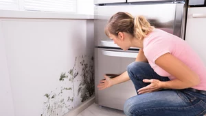 Jak usunąć ślady grzyba i pleśni ze ściany? Poznaj niezawodne sposoby!