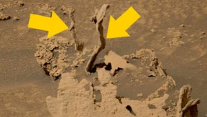 Łazik Curiosity znalazł na Marsie osobliwe skały. Na Ziemi mamy jednak podobne