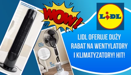 Lidl - promocja na wentylatory i klimatyzatory.