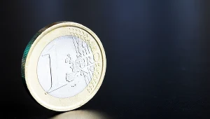 "Najistotniejsze na polskiej drodze do euro jest przełamanie stereotypów i lęków dużej części społeczeństwa"