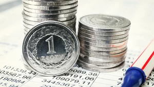 Ile kosztują dolar, euro i frank 15 lipca 2025 roku? Zdj. ilustracyjne