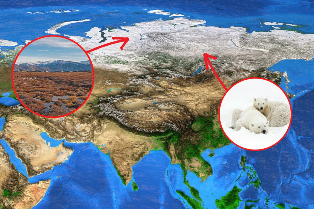 Syberyjska tundra może zniknąć z powierzchni Ziemi – ostrzegają naukowcy