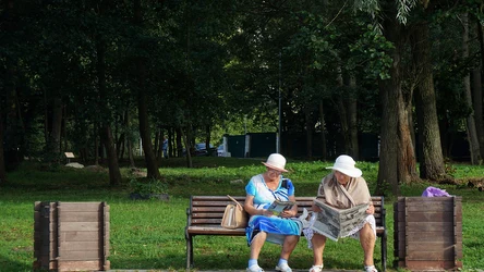 Gdzie sprawdzić swój numer w kolejce do sanatorium?