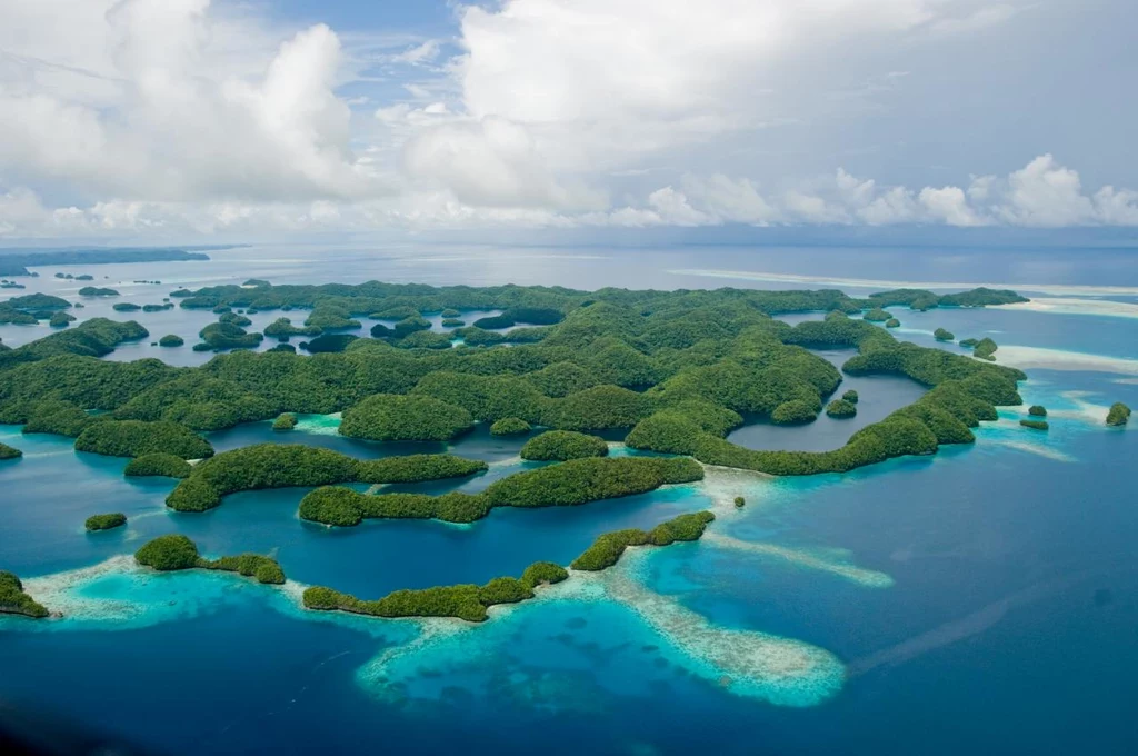 Mieszkańcy Palau są tak dumni ze swojego domu, że przylatujący tam turyści muszą podpisywać specjalną deklarację w postaci stempla w ich paszporcie