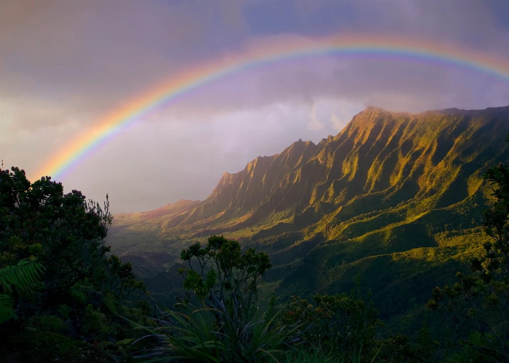 Hawaje to nie tylko zjawiskowe krajobrazy, ale także ogromna dbałość mieszkańców o przyrodę i jej ochronę