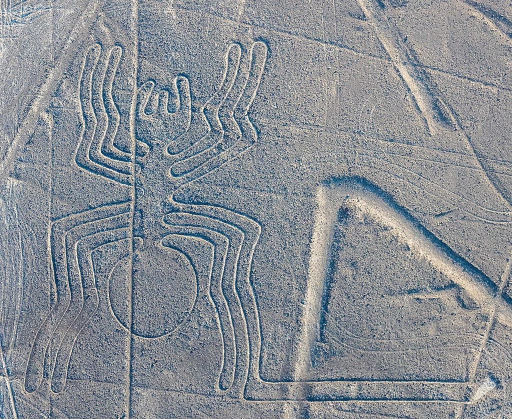 Jeden z najsłynniejszych rysunków z Nazca przedstawia gigantycznego pająka /foto: wikipedia