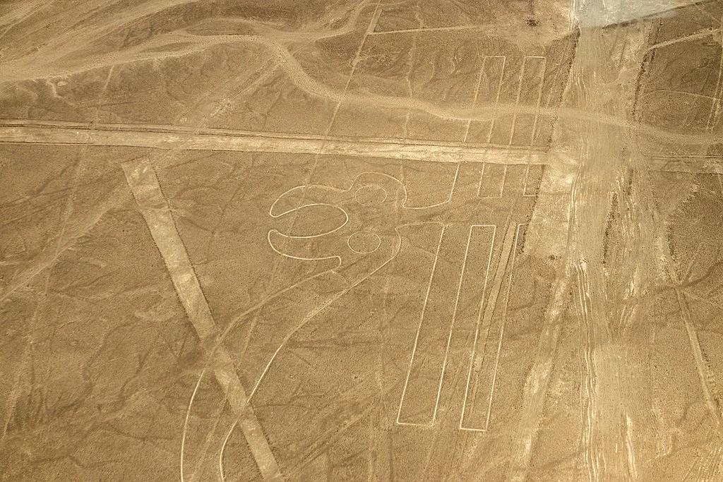 Linie proste na płaskowyżu Nazca potrafią się ciągnąć przez wiele kilometrów /foto: wikipedia