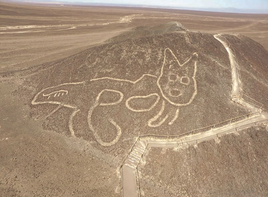 Bohaterem jednego z geoglifów z Nazca jest gigantyczny kot /foto: wikipedia