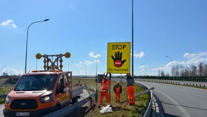 121 nowych "znaków" na polskich drogach. Mają chronić przed śmiertelną pomyłką