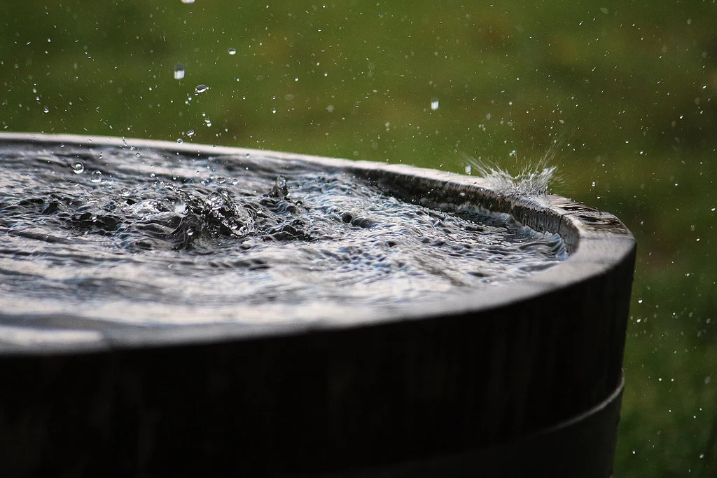 Zbiornik na deszczówkę pomoże uchronić nasze uprawy przed suszą