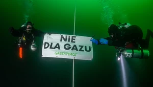 "Nie dla gazu". Greenpeace protestowało pod wodą przy gazociągu Nord Stream