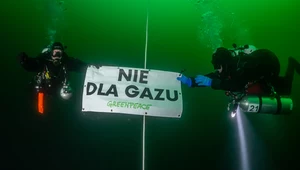 Nurkowie współpracujący z Greenpeace zeszli na dno Bałtyku, aby protestować przeciwko importowi gazu z Rosji