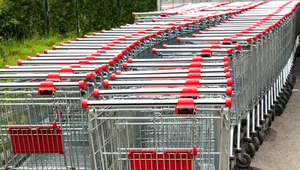 Drastycznie spadła lojalność klientów dyskontów