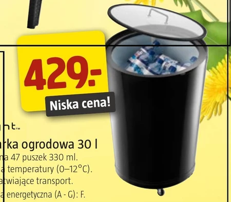 Chłodziarka ogrodowa Bright