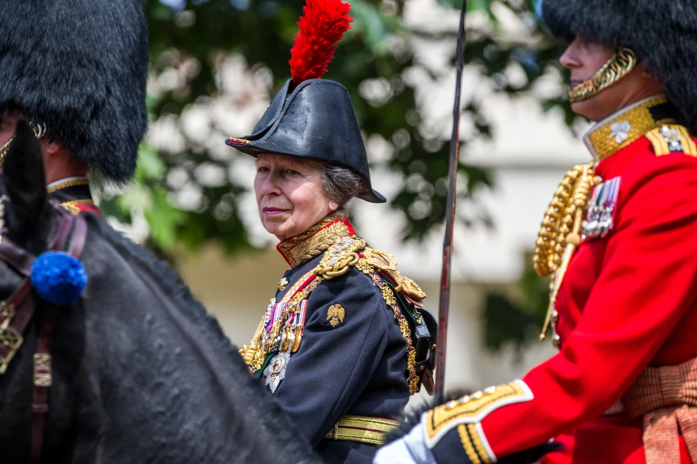 Księżniczka Anna Księżniczka Anna