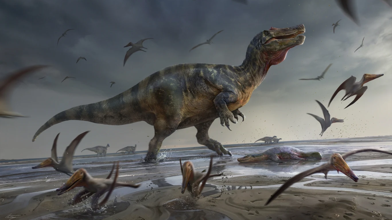 W Anglii odnaleziono szczątki prawdopodobnie największego lądowego dinozaura w Europie. Był to drapieżnik z rodzaju spinozaurów W Anglii odnaleziono szczątki prawdopodobnie największego lądowego dinozaura w Europie. Był to drapieżnik z rodzaju spinozaurów