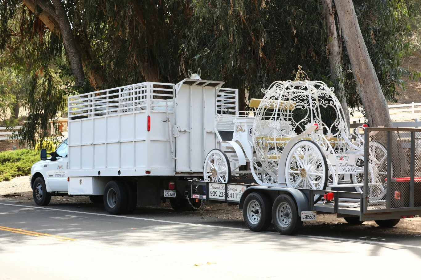 Ślub Britney Spears i Sama Asghariego - przygotowania