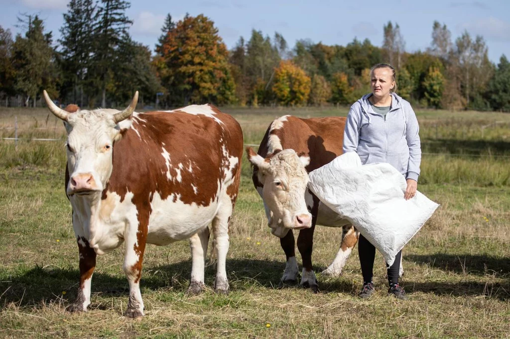 Co wydarzy się w najnowszym odcinku serialu "Rolnicy. Podlasie"?