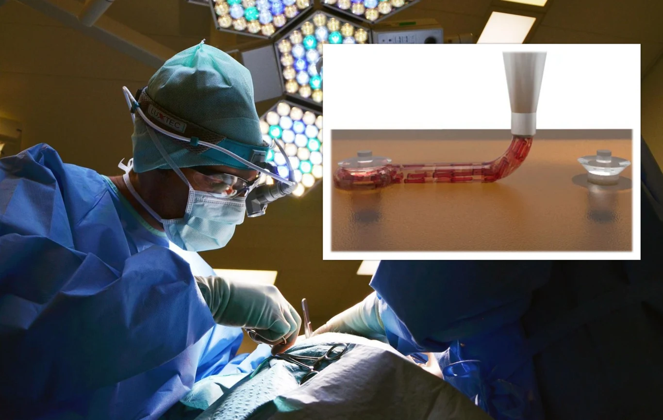 Naukowcy Instytutu Wyss z przełomową technologią druku serca 3D Naukowcy Instytutu Wyss z przełomową technologią druku serca 3D
