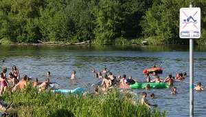 zdjęcie ilustracyjne