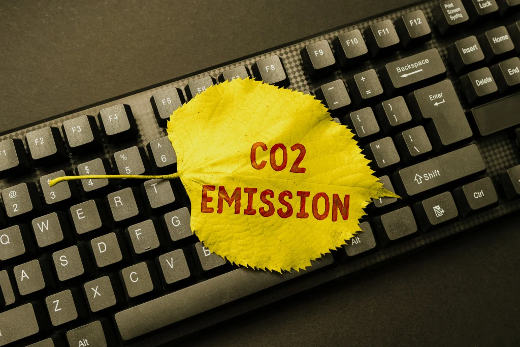 Środowisko i "walka" o zachowanie walorów przyrodniczych już dawno zostały zmonetyzowane. Zdj. ilustracyjne