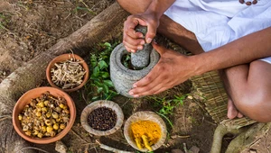 Tradycyjne indyjskie zioła mogą pomagać w leczeniu w cukrzycy