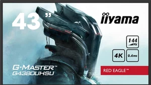 iiyama