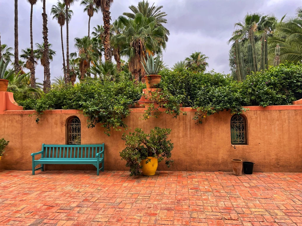 Ogród Jardin Majorelle otacza mur - w środku miasta można poczuć się nagle jak w tropikalnej dżungli